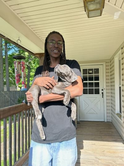 Stacey, a Cane Corso Mastiff puppy from Pawrade