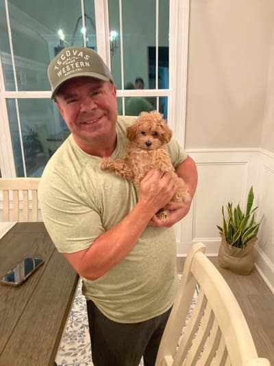 Lilly, a Malti Poo - Maltipoo puppy from Pawrade