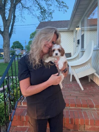 Tori, a Cavapoo puppy from Pawrade