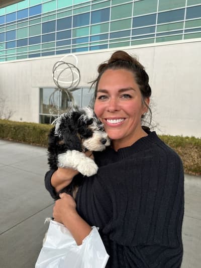 Idris, a Bernedoodle, Mini puppy from Pawrade