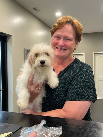 Tally, a Cavachon puppy from Pawrade