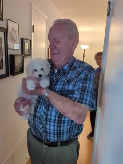 Georgia, a Bichon Frise puppy from Pawrade