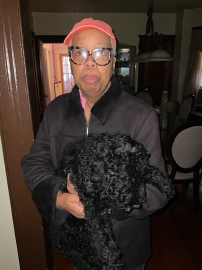 Baxter, a Poodle, Standard puppy from Pawrade