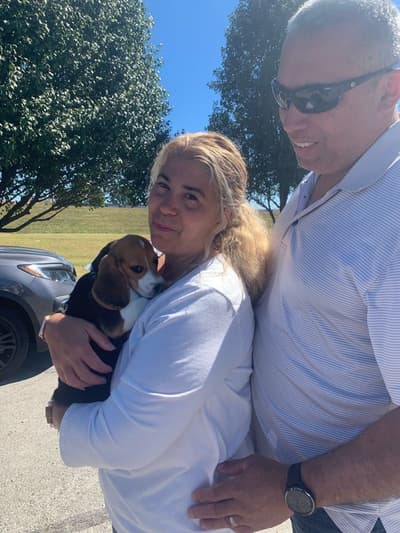 Bree, a Beagle puppy from Pawrade