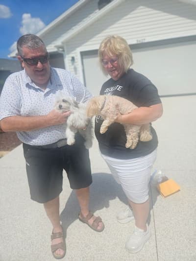 Greta, a Havanese puppy from Pawrade