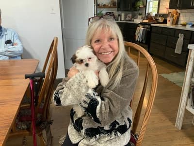 Baccus, a Shih Tzu puppy from Pawrade