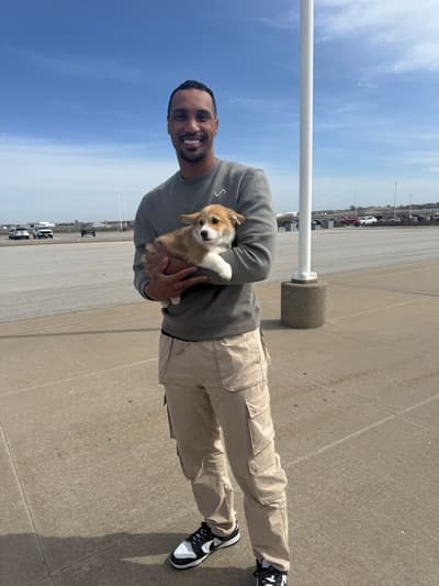 Drake, a Corgi, Pembroke Welsh puppy from Pawrade