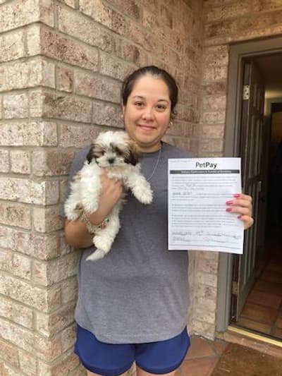 Kohen, a Shih Tzu puppy from Pawrade
