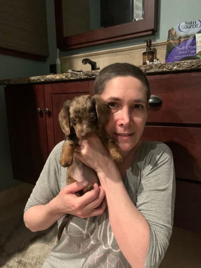 Molly, a Dachshund puppy from Pawrade