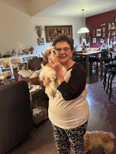 Gracelyn, a Shih Apso puppy from Pawrade