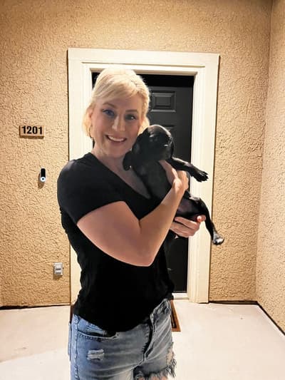 Roger, a Puggle puppy from Pawrade