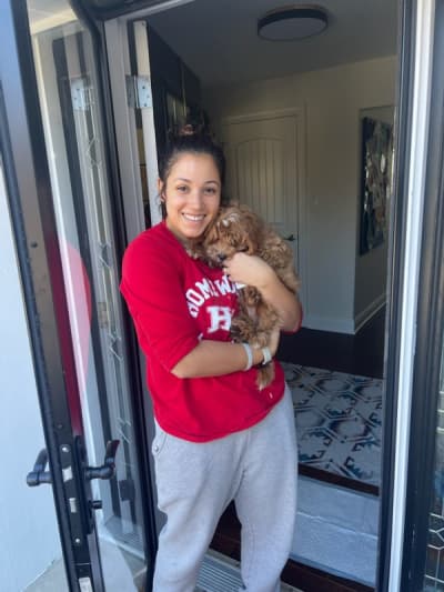 Brendon, a Cavapoo puppy from Pawrade