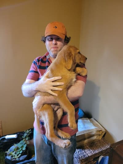 Asher, a Golden Retriever puppy from Pawrade
