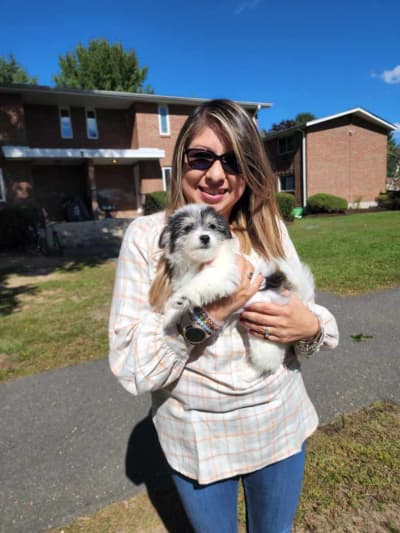Jeanine, a Coton De Tulear puppy from Pawrade