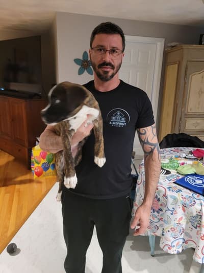 Santana, a Boxer puppy from Pawrade