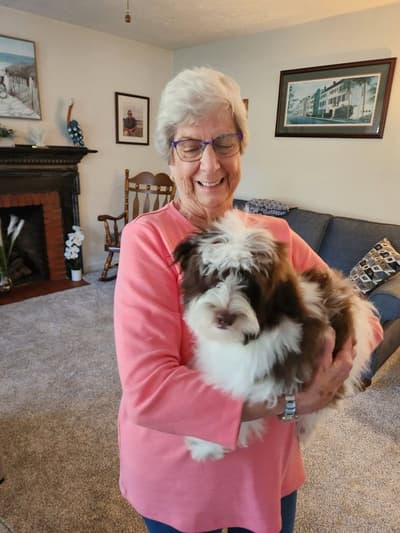 Jackson, a Havanese puppy from Pawrade