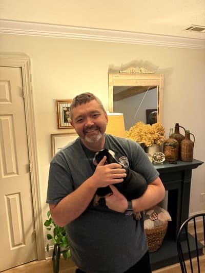 Fester, a English Bulldog puppy from Pawrade