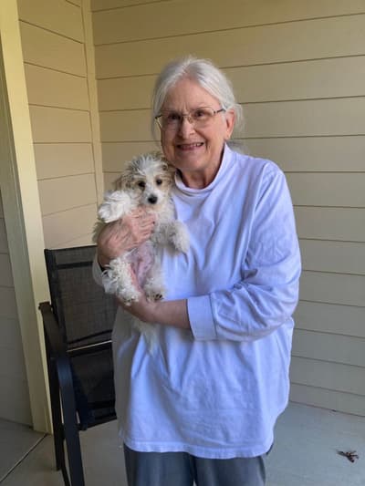 Oliver, a Malti Poo - Maltipoo puppy from Pawrade