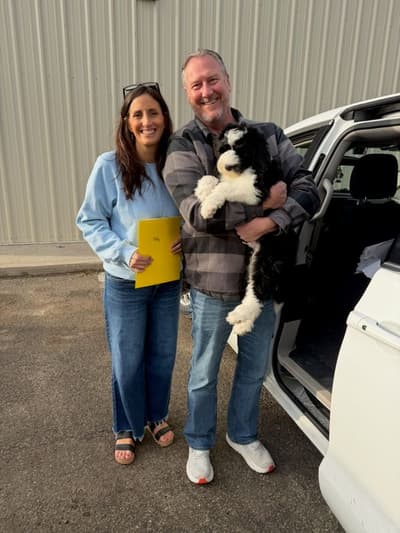 Trey, a Sheepadoodle puppy from Pawrade