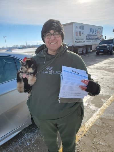 Sophia, a Morkie / Yorktese puppy from Pawrade