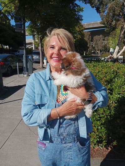 Joan, a Cavapoo puppy from Pawrade