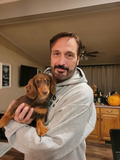 Judy, a Dachshund, Mini puppy from Pawrade