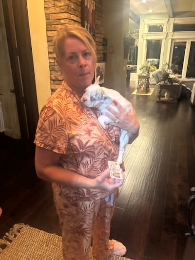 Haira, a French Bulldog puppy from Pawrade