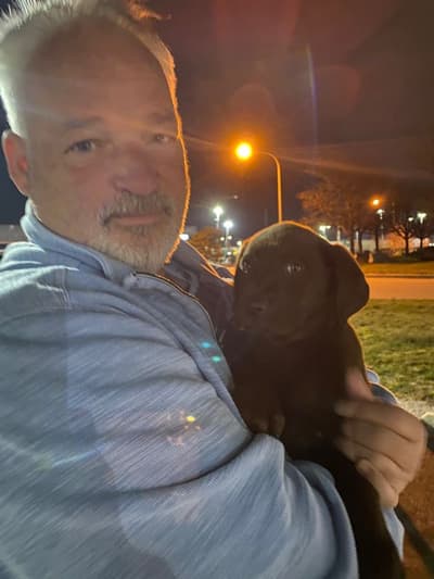 Piper, a Labrador Retriever puppy from Pawrade