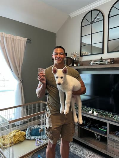 Ivan, a Siberian Husky puppy from Pawrade