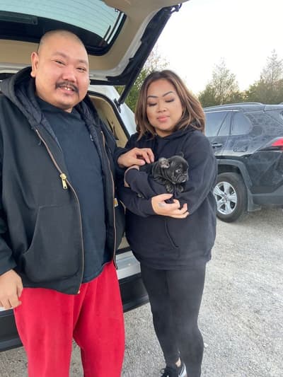 Rip, a French Bulldog puppy from Pawrade