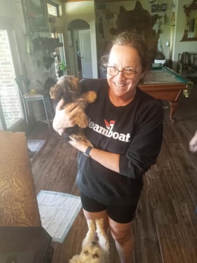 Jon, a Morkie / Yorktese puppy from Pawrade