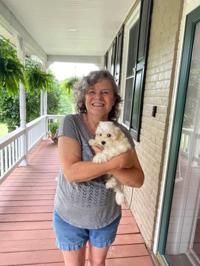 Isaac, a Coton De Tulear puppy from Pawrade