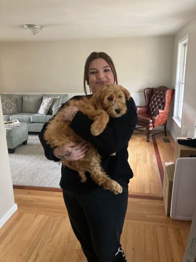Kelsey, a Irishdoodle puppy from Pawrade