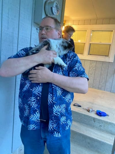 Buddy, a Miniature Australian Shepherd puppy from Pawrade