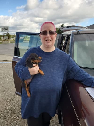 Blake, a Dachshund, Mini puppy from Pawrade