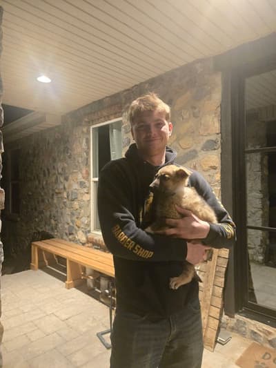Cali, a German Shepherd puppy from Pawrade