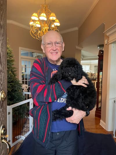 Logan, a Poodle, Standard puppy from Pawrade