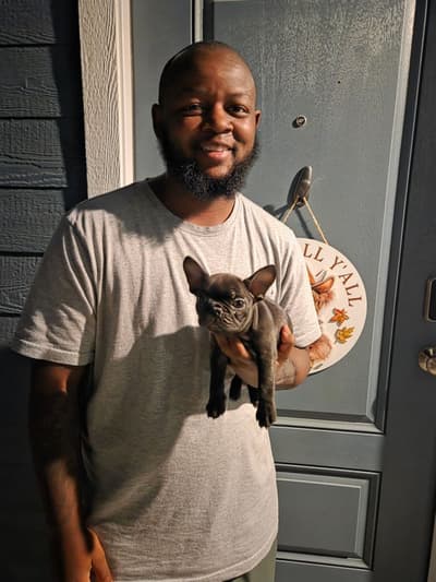 Ferdinand, a French Bulldog puppy from Pawrade