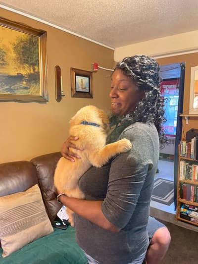 Gavin, a Golden Retriever puppy from Pawrade