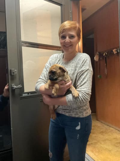 Lucy, a Beabull puppy from Pawrade