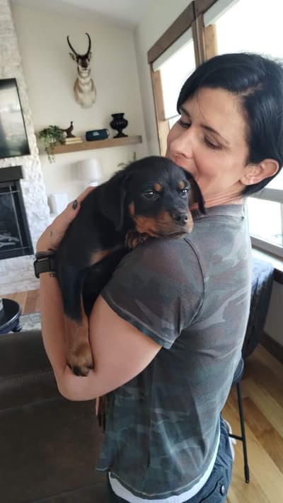 Katherine, a Rottweiler puppy from Pawrade