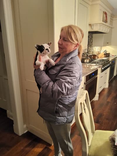 Marielena, a Boston Terrier puppy from Pawrade