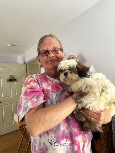 Kenny, a Lhasa Apso puppy from Pawrade