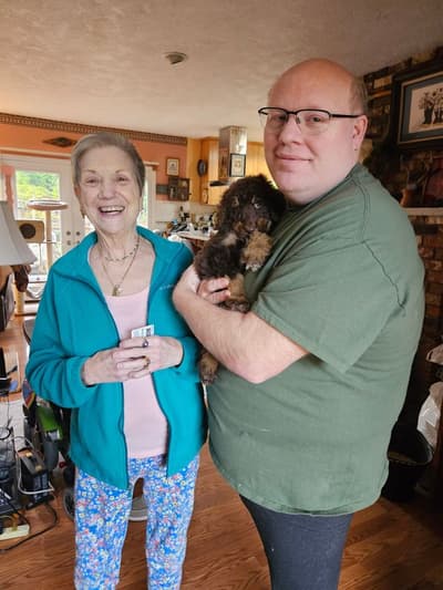 Monterey, a Poodle, Standard puppy from Pawrade