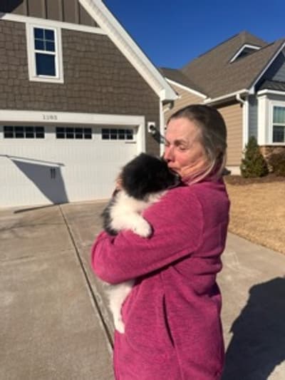 Ruxton, a Pomeranian puppy from Pawrade