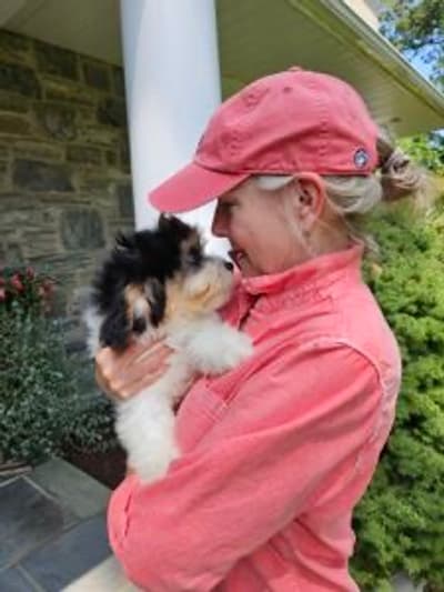 Mateo, a Cavachon puppy from Pawrade