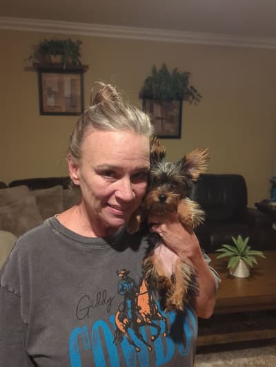 Emily, a Yorkshire Terrier - Yorkie puppy from Pawrade