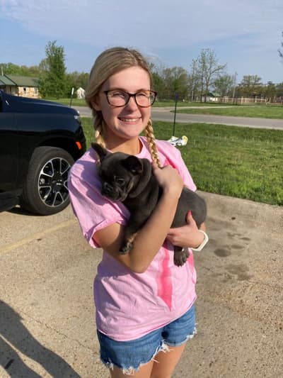 Glenda, a French Bulldog puppy from Pawrade
