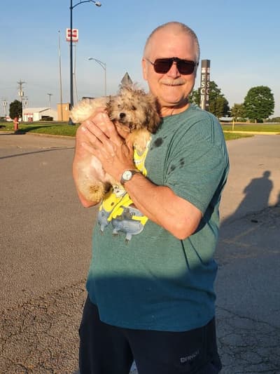 Abe, a Shichon puppy from Pawrade