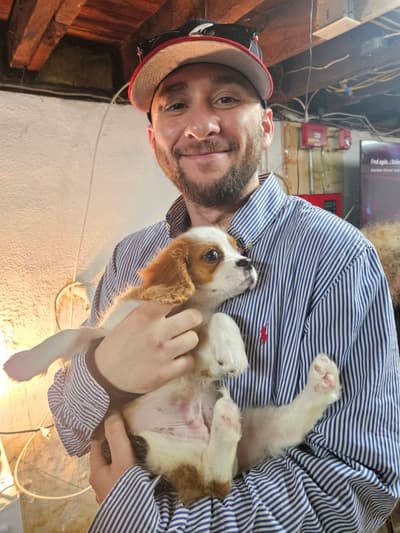 Clyde, a Beaglier puppy from Pawrade